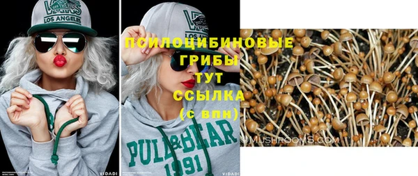 спайс Липки