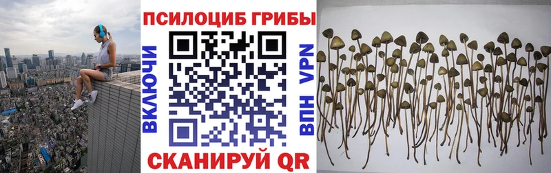 Псилоцибиновые грибы мицелий  Купить  Вяземский 